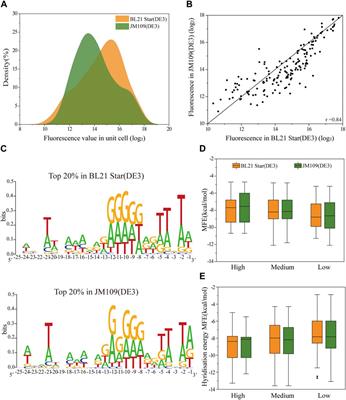 Translation initiation consistency between in vivo and in vitro bacterial protein expression systems